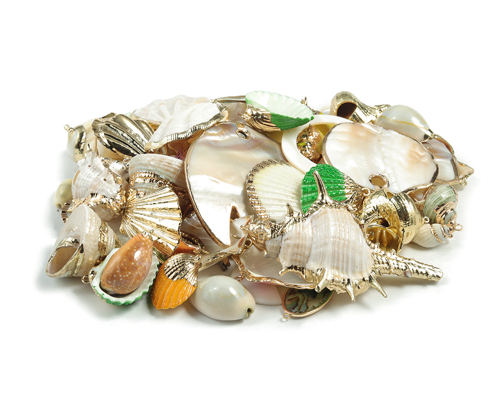 Seashell