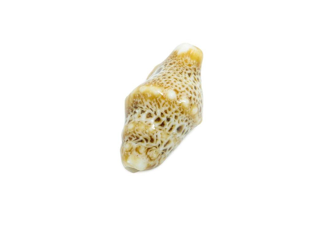 Ceramic Shell Beads - Craft Beads for Necklace or Bracelet - Rustic Coastal Accessories - Textured Making Supplies - 20x11x10.73mm - NS2775J - DOMEDBAZAAR
