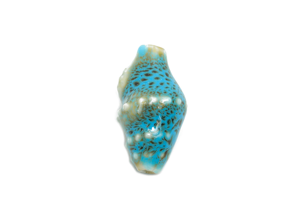 Ceramic Shell Beads - Craft Beads for Necklace or Bracelet - Blue Rustic Coastal Bead - Textured Making Supplies - 20x11x10.73mm - NS2775I - DOMEDBAZAAR