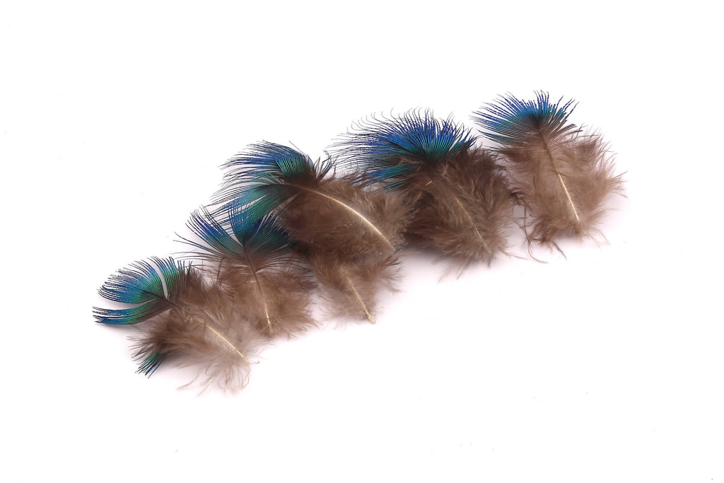 Natural Peacock Feather - Brown Plumage- (4-6cm) - Real Feathers for Jewelry, Costumes, Millinery, Decoration, Crafts - 100 Pieces - FF1008 - DOMEDBAZAAR