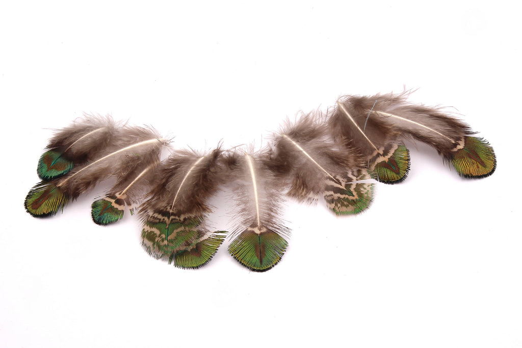 Natural Peacock Feather - Green Plumage - (4-7cm) - Real Feathers for Jewelry, Costumes, Millinery, Decoration, Crafts - 100 Pieces - FF1011 - DOMEDBAZAAR
