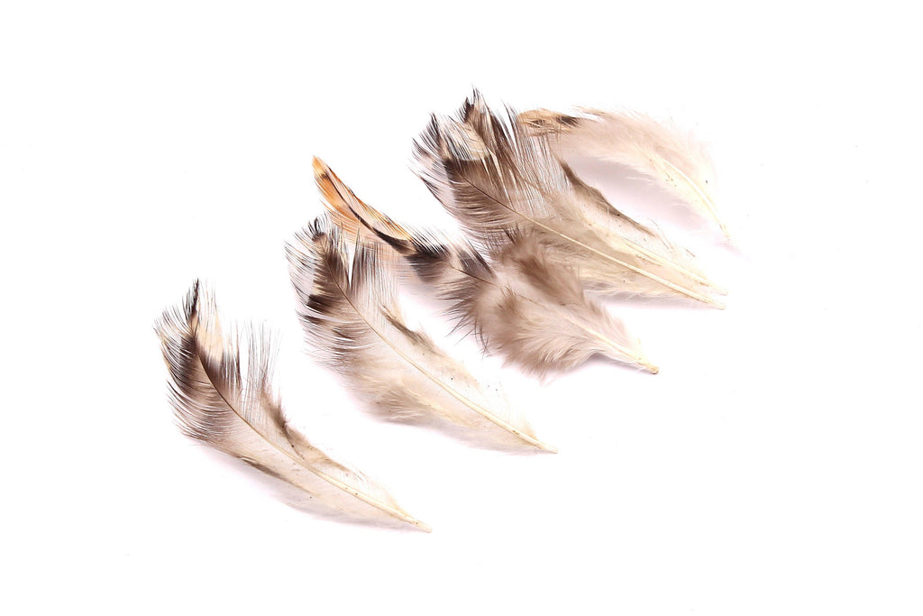Natural Rooster Feather - Brown Feather - (10-12cm) - Real Feathers for Jewelry, Costumes, Millinery, Decoration, Crafts - 50Pieces - FF1003 - DOMEDBAZAAR