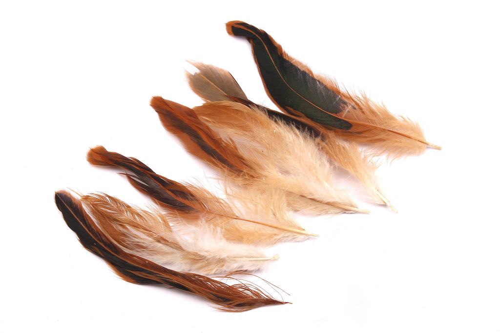Natural Rooster Feather - Beige Feather - (5-7cm) - Real Feathers for Jewelry, Costumes, Millinery, Decoration, Crafts - 50 Pieces - FF1009 - DOMEDBAZAAR