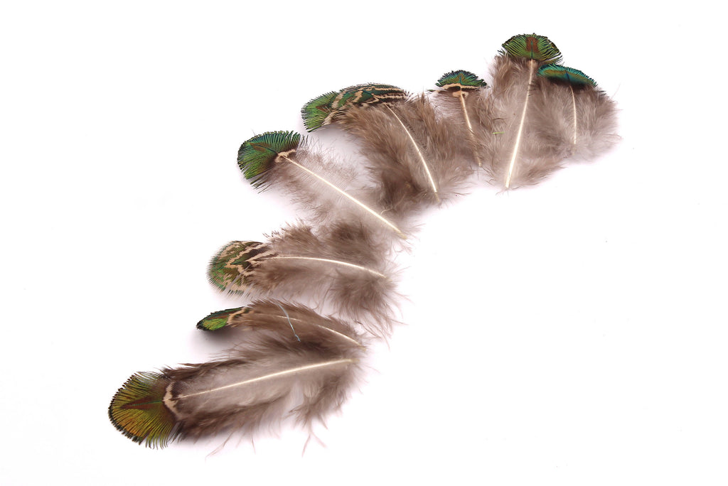 Natural Peacock Feather - Green Plumage - (4-7cm) - Real Feathers for Jewelry, Costumes, Millinery, Decoration, Crafts - 100 Pieces - FF1011 - DOMEDBAZAAR