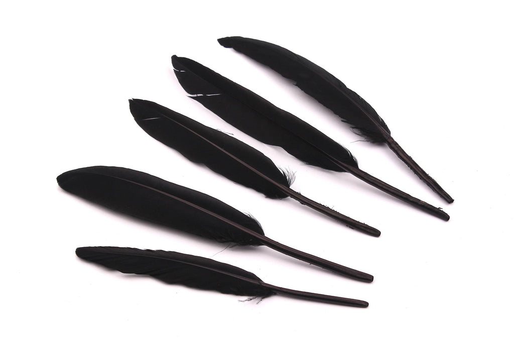 Goose Feather - Black Plumage - (12-15cm) - Real Feathers for Jewelry, Costumes, Millinery, Decoration, Crafts - 100 Pieces - FF1013BK - DOMEDBAZAAR