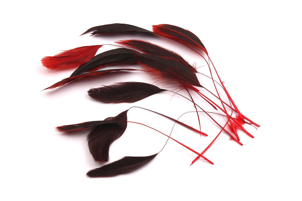 Stripped Rooster Feather - Red Plumage - (12-17cm) - Real Feathers for Jewelry, Costume, Millinery, Decoration, Crafts - 12 Pieces - FF1014R - DOMEDBAZAAR