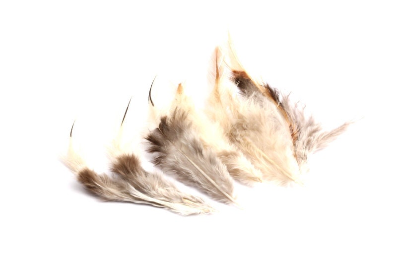 Natural Cock Feather - White-Brown Feather - (10-12cm) - Real Feathers for Jewelry, Costumes, Millinery, Decoration- 50Pieces - FF1002 - DOMEDBAZAAR