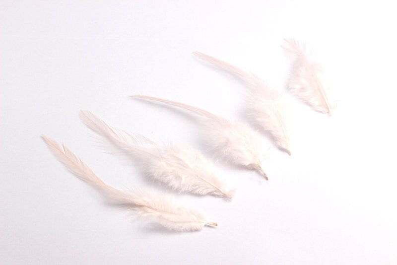 Cock Feather - Light Pink Feather - (12-15 cm) - Real Feathers for Jewelry, Costumes, Millinery, Crafts - 50 Pieces - FF1005LP - DOMEDBAZAAR