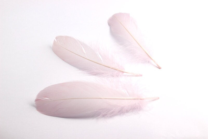 Goose Feather - Light Pink Feather - (13-18 cm) - Real Feathers for Jewelry, Costumes, Millinery, Crafts - 50 Pieces - FF1007P - DOMEDBAZAAR