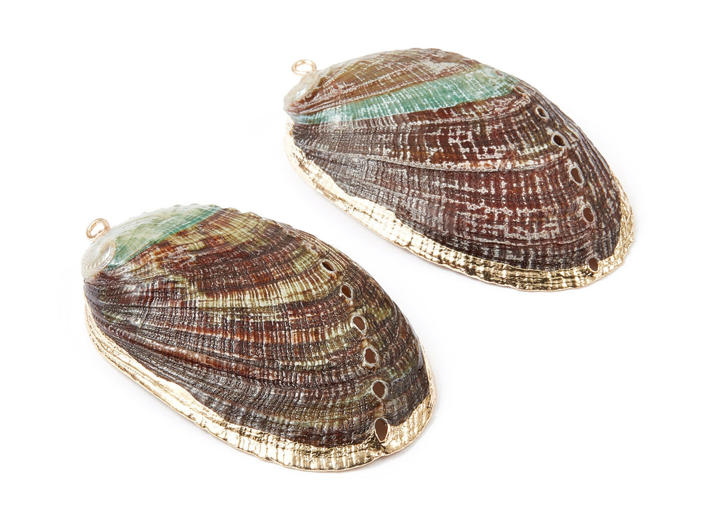 Musell Shell Charms - Seashell Pendant - Glod Tone Plated Earrings - 1 Hole - 46.6x28.5x7.75mm - SF1010 - DOMEDBAZAAR