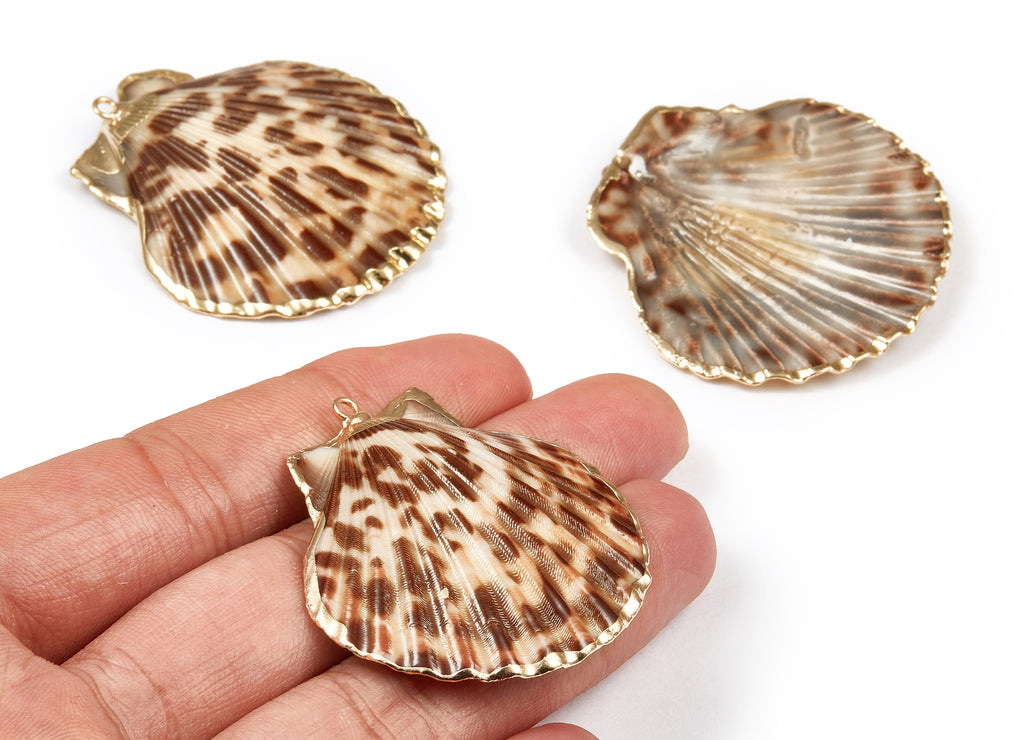 Mussel Shell Charms - Seashell Earrings and Pendant - Gold Tone Plated Earrings - 1 Hole - 50.32x48.7x2.15mm - SF1011C - DOMEDBAZAAR