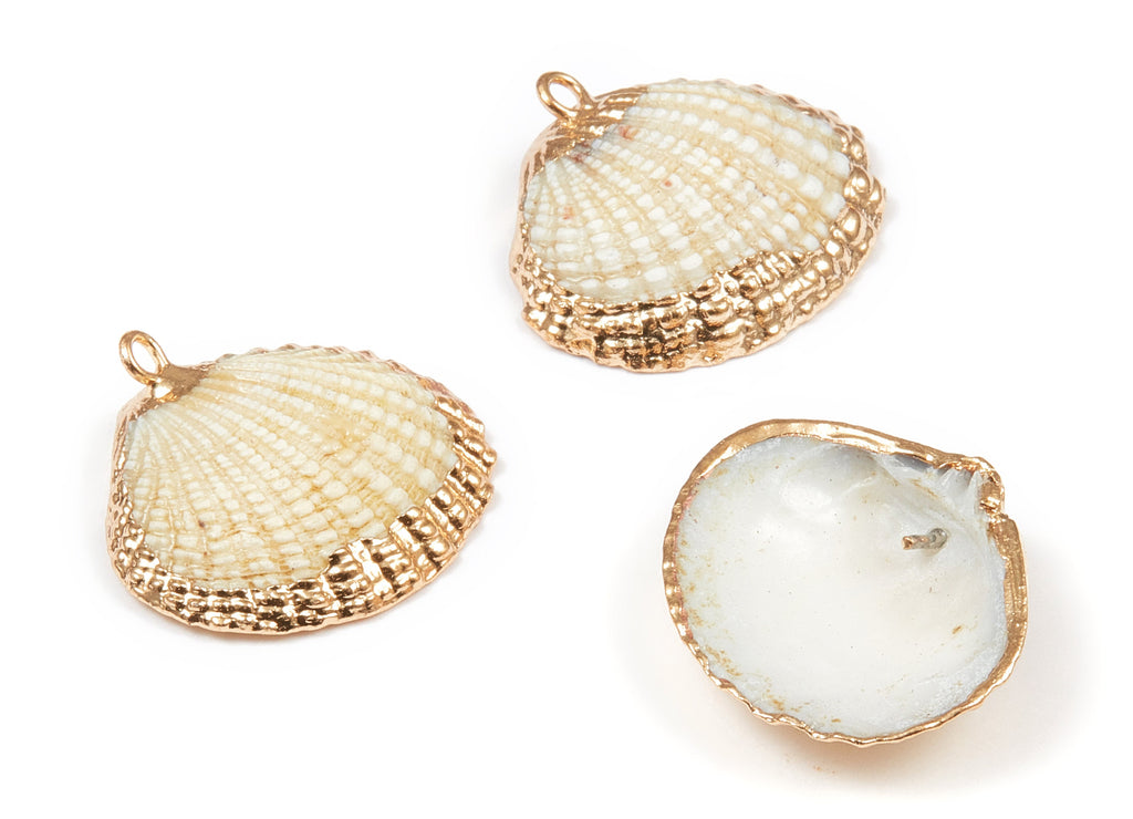 Mussel Shell Charms - Seashell Earrings and Pendant - Gold Tone Plated Earrings - 1 Hole - 22.84x21.54x2.65mm - SF1020 - DOMEDBAZAAR