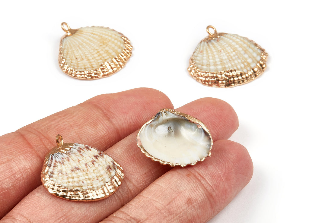 Mussel Shell Charms - Seashell Earrings and Pendant - Gold Tone Plated Earrings - 1 Hole - 22.84x21.54x2.65mm - SF1020 - DOMEDBAZAAR