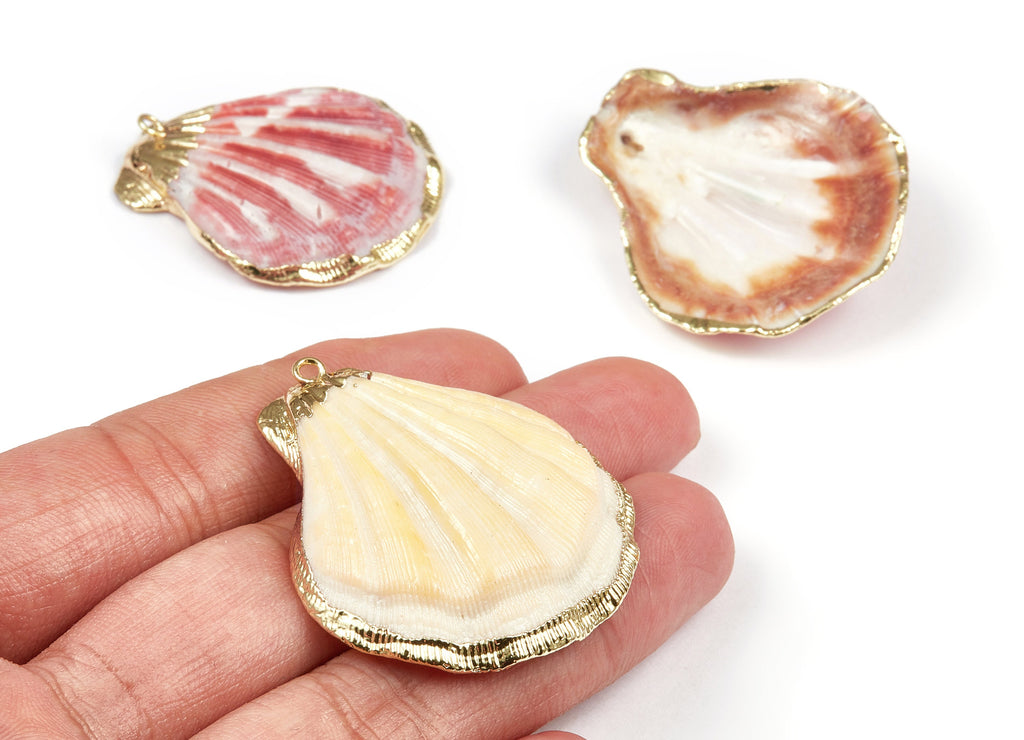 Mussel Shell Charms - Seashell Earrings and Pendant - Gold Tone Plated Earrings - 1 Hole - 40.44x36.81x2.46mm - SF1098 - DOMEDBAZAAR