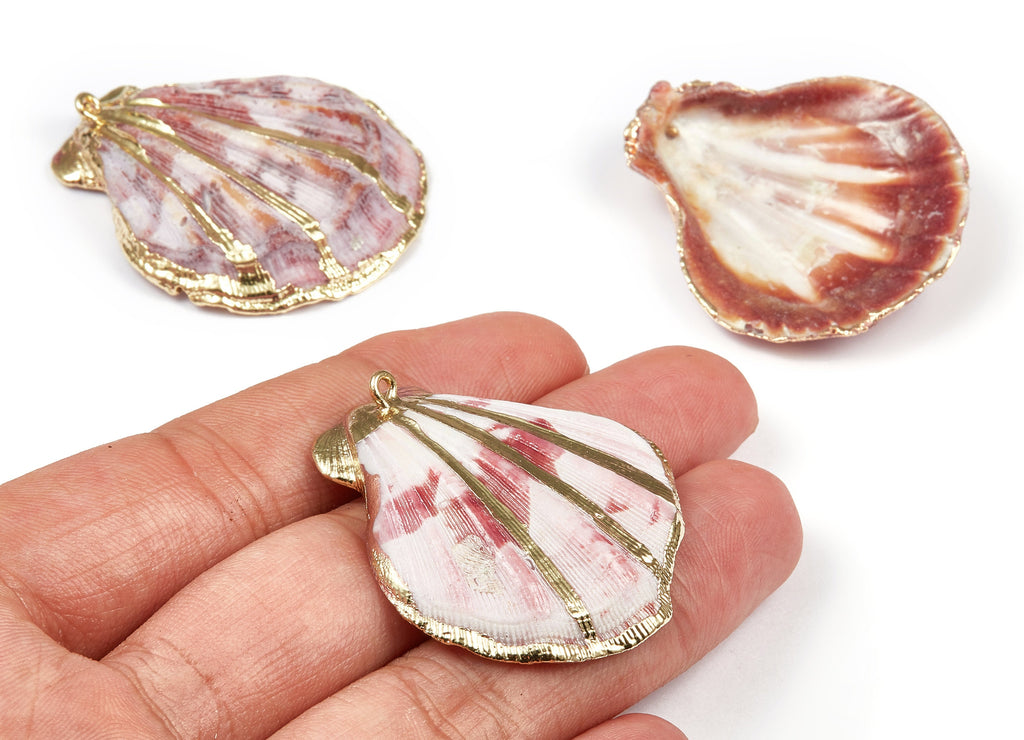 Mussel Shell Charms - Seashell Earrings and Pendant - Gold Tone Plated Earrings - 1 Hole - 44.22x40.55x1.6mm - SF1086 - DOMEDBAZAAR