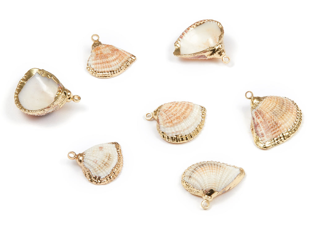 Mussel Shell Charms - Seashell Earrings and Pendant - Gold Tone Plated Earrings - 1 Hole - 17.87x18.04x1.27mm - SF1079 - DOMEDBAZAAR