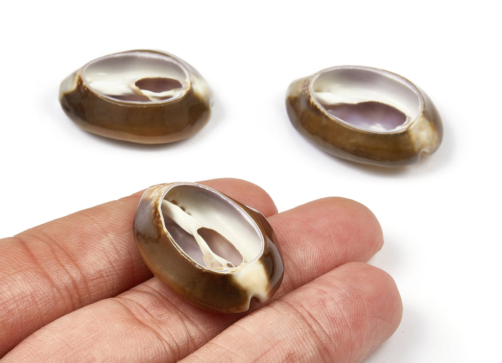 Open Cowrie Charms - Mussel Shell Earrings - Cut Open Seashell Pendant - Natural Seashell Earrings - 30.79x23.27x7.27mm - SF1012 - DOMEDBAZAAR