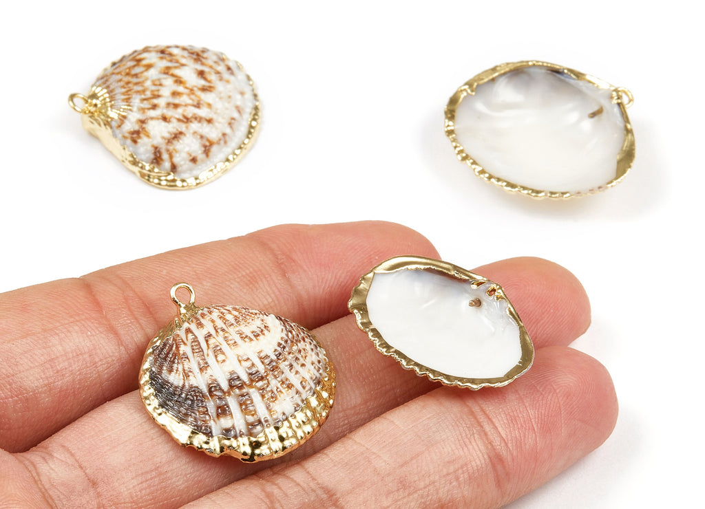 Mussel Shell Charms - Seashell Earrings and Pendant - Gold Tone Plated Earrings - 1 Hole - 26.52x25.42x1.873mm - SF1085 - DOMEDBAZAAR