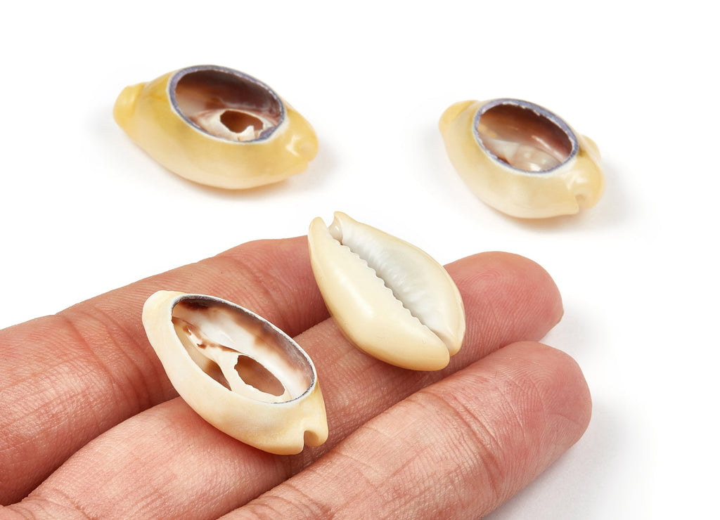 Open Cowrie Charms - Mussel Shell Earrings - Cut Open Seashell Pendant - Natural Seashell Earrings - 26.63x18.73x8.41mm - SF1013 - DOMEDBAZAAR