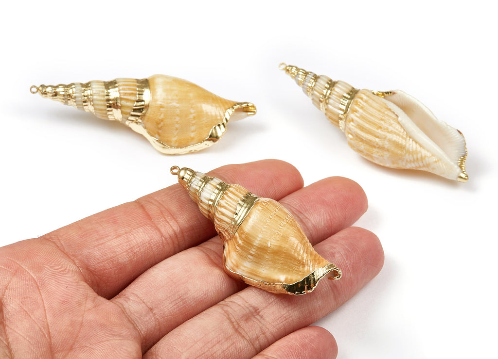 Whelk Seashell Charms - Seashell Earrings and Pendant - Gold Tone Plated Earrings - Natural Seashell - 1 Hole - 58.39x24.42 - SF1095 - DOMEDBAZAAR