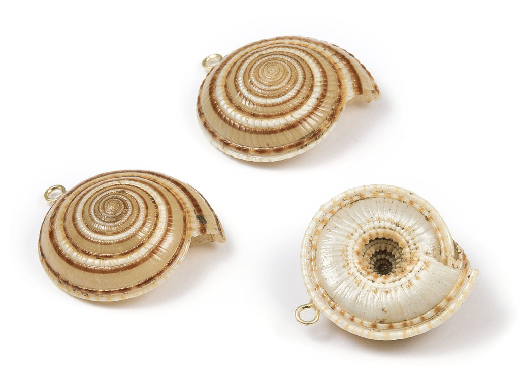 Charm-NATURAL Spiral Shell-Gold Plated