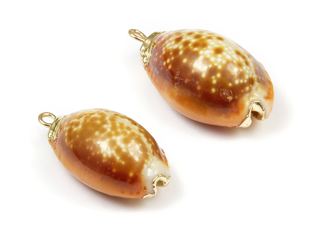 Whelk Seashell Charms - Whelk Shell Pendant - Natural Seashell Earrings - 1 Hole - 23.79x14.02x10.84mm - SF1060 - DOMEDBAZAAR