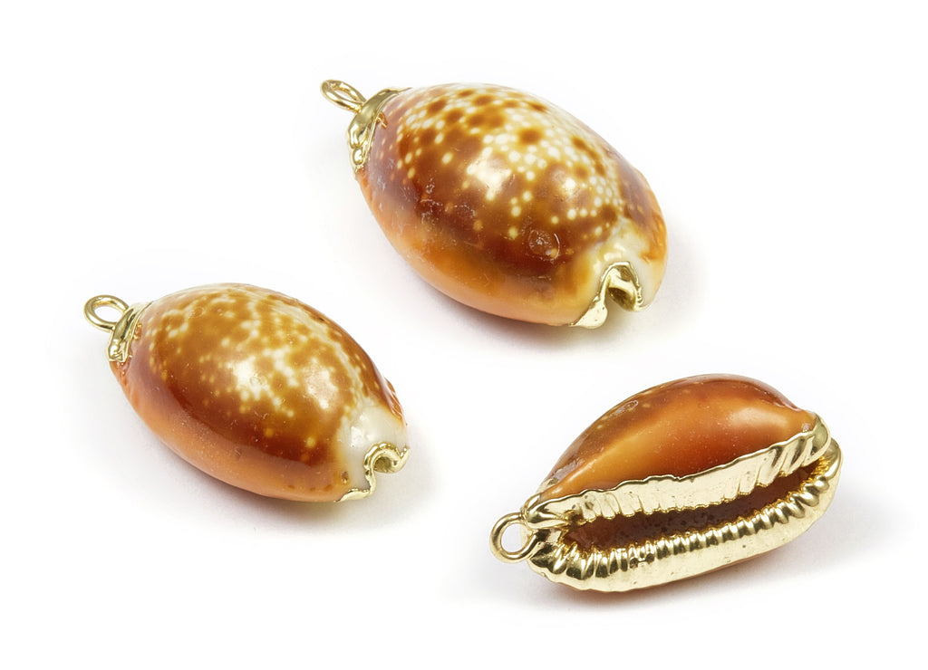 Whelk Seashell Charms - Whelk Shell Pendant - Natural Seashell Earrings - 1 Hole - 23.79x14.02x10.84mm - SF1060 - DOMEDBAZAAR