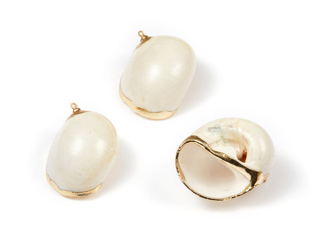 Whelk Seashell Charms - Seashell Earrings and Pendant - Gold Tone Plated Earrings - Natural Seashell - 1 Hole - 37.64x34.69xmm - SF1078 - DOMEDBAZAAR