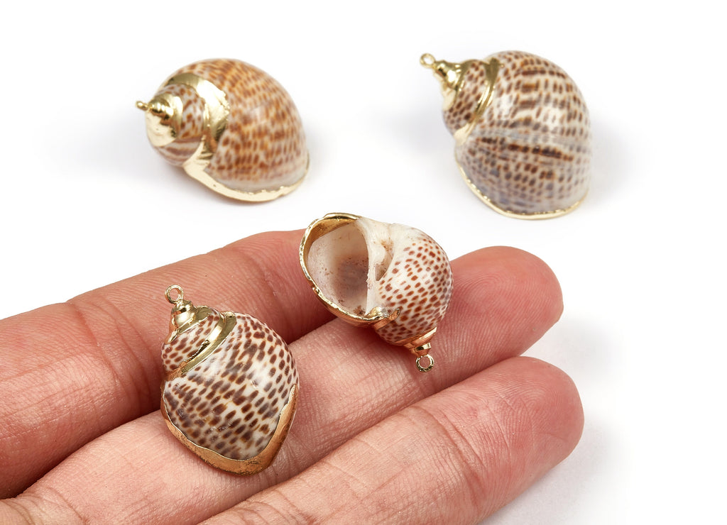 Whelk Seashell Charms - Seashell Pendant - Gold Tone Plated Earrings - Natural Seashell - 1 Hole - 28.32x24.77xmm - SF1075 - DOMEDBAZAAR