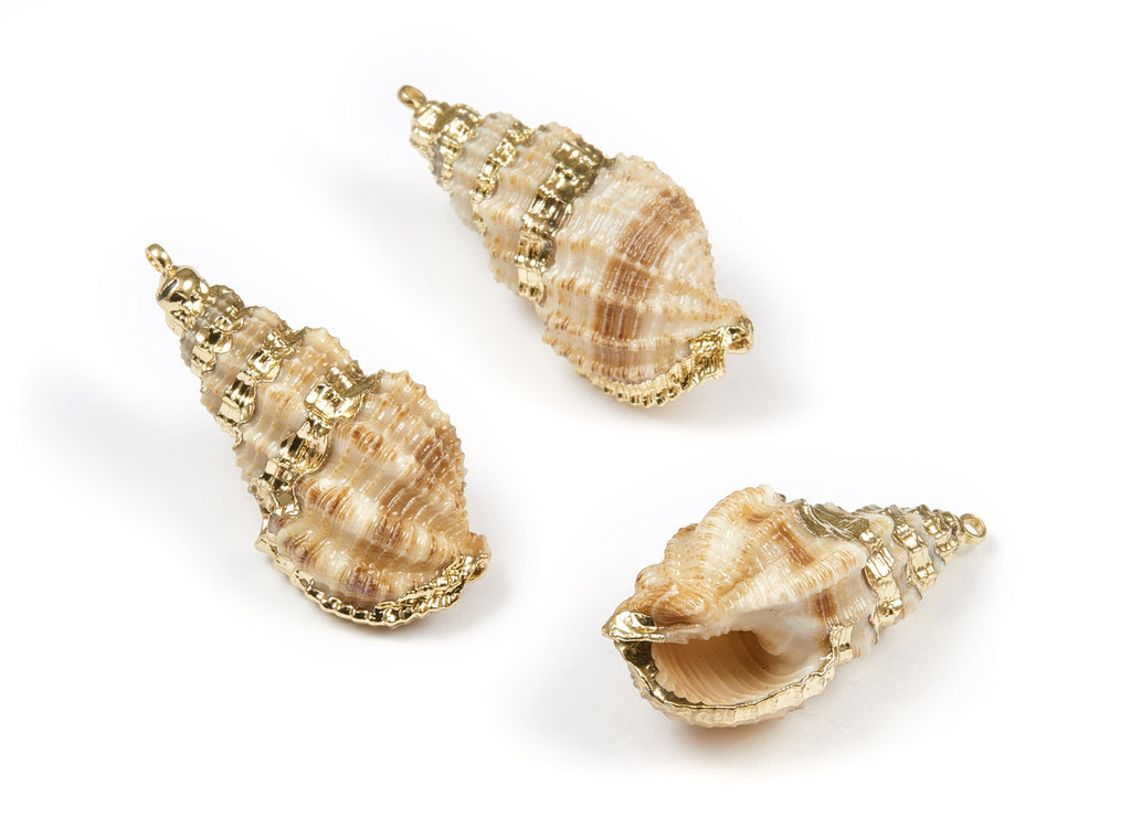 Whelk Seashell Charms - Whelk Shell Pendant - Natural Seashell Earrings - 1 Hole - 35.43x14.59x13.1mm - SF1070 - DOMEDBAZAAR