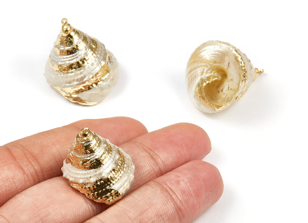 Cone Seashell Charms - Whelk Seashell Pendant - Natural Seashell Earrings - 1 Hole - 23.21x28.74x22.7mm - SF1072 - DOMEDBAZAAR