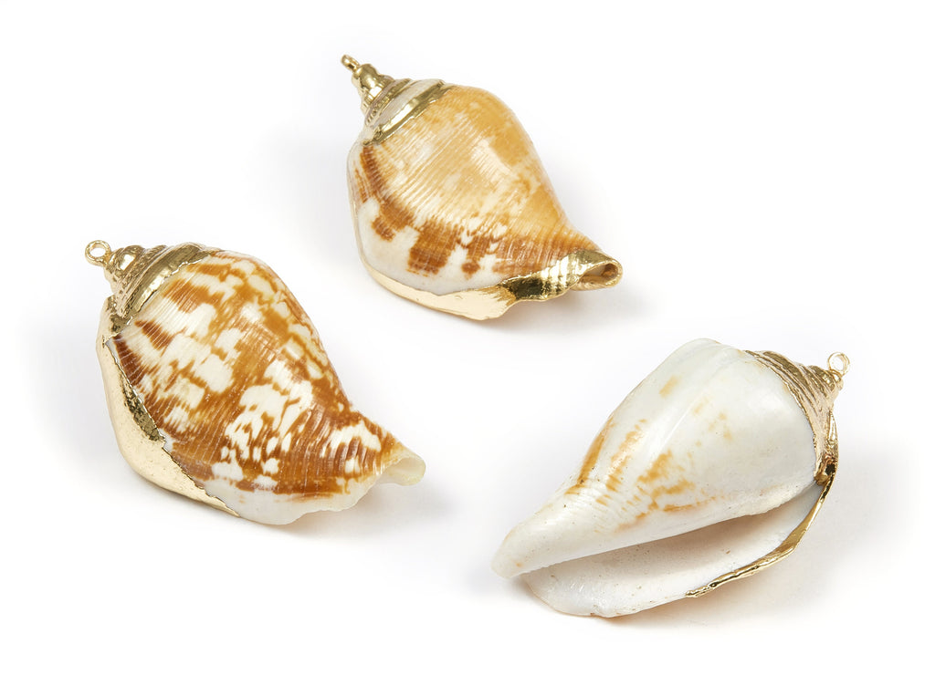 Whelk Seashell Charms - Seashell Earrings and Pendant - Gold Tone Plated Earrings - Natural Seashell - 1 Hole - 39.16x23xmm - SF1094 - DOMEDBAZAAR