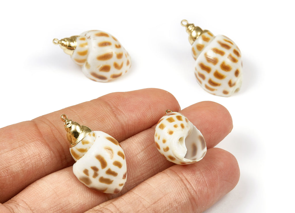 Whelk Seashell Charms - Whelk Shell Pendant - Natural Seashell Earrings - 1 Hole - 30.07x17.67x11.9mm - SF1059 - DOMEDBAZAAR