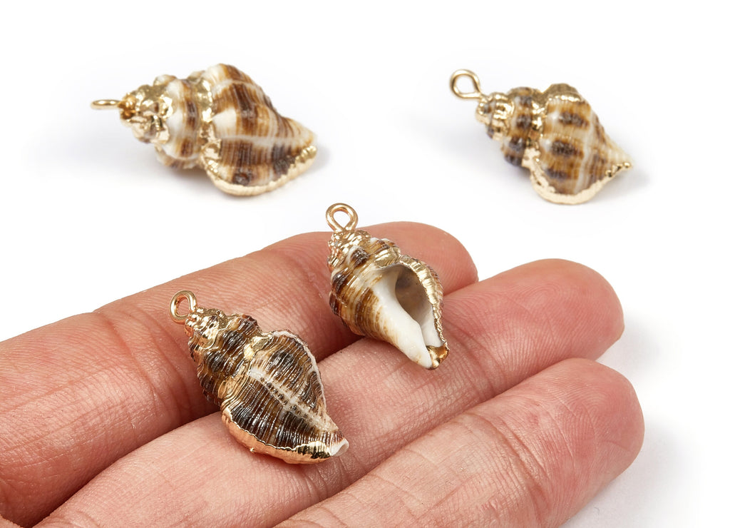 Whelk Seashell Charms - Natural Seashell Earrings and Pendant - Gold Tone Plated Earrings - 1 Hole - 24.22x14.75x11.4mm - SF1037 - DOMEDBAZAAR