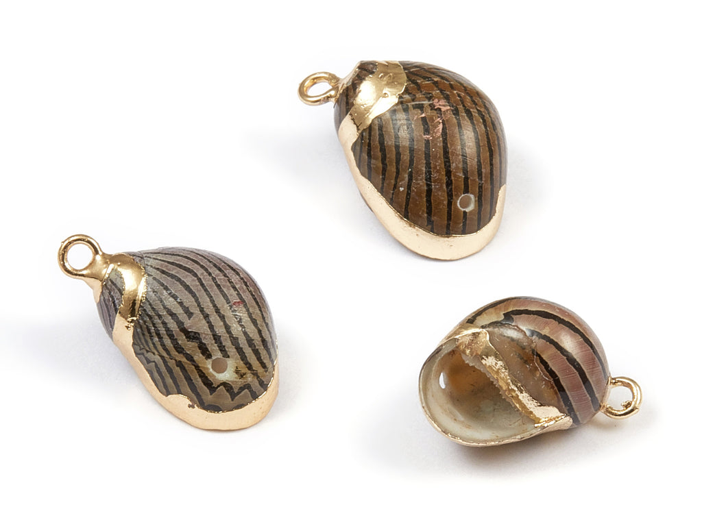 Whelk Seashell Charms - Natural Seashell Earrings and Pendant - Gold Tone Plated Earrings - 2 Hole - 13.43x11.18x9.58mm - SF1029 - DOMEDBAZAAR