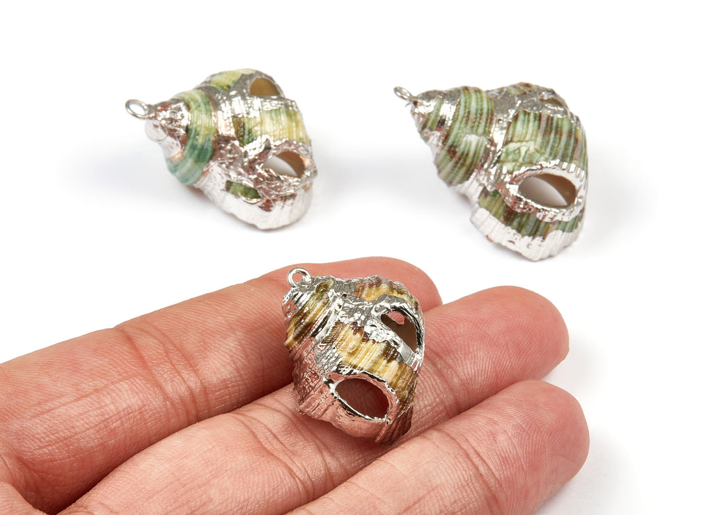 Open Whelk Charms - Whelk Seashell Earrings - Cut Open Seashell Pendant - Natural Seashell Earrings - 1 Hole - 30.26x20.72x12.45mm - SF1030 - DOMEDBAZAAR