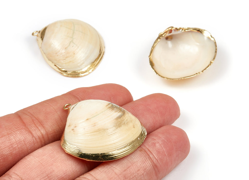 Mussel Shell Charms - Seashell Earrings and Pendant - Gold Tone Plated Earrings - 1 Hole - 33.96x31.88x1.53mm - SF1084 - DOMEDBAZAAR
