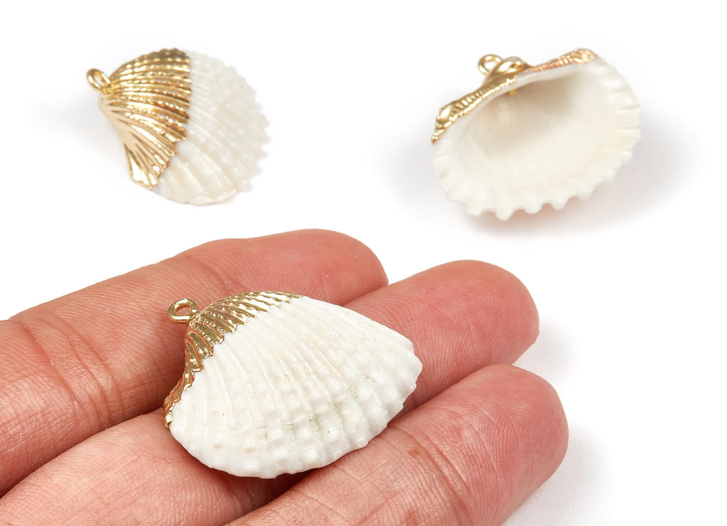 Mussel Shell Charms - Seashell Earrings and Pendant - Gold Tone Plated Earrings - 1 Hole - 31.49x28.24x2.27mm - SF1080 - DOMEDBAZAAR
