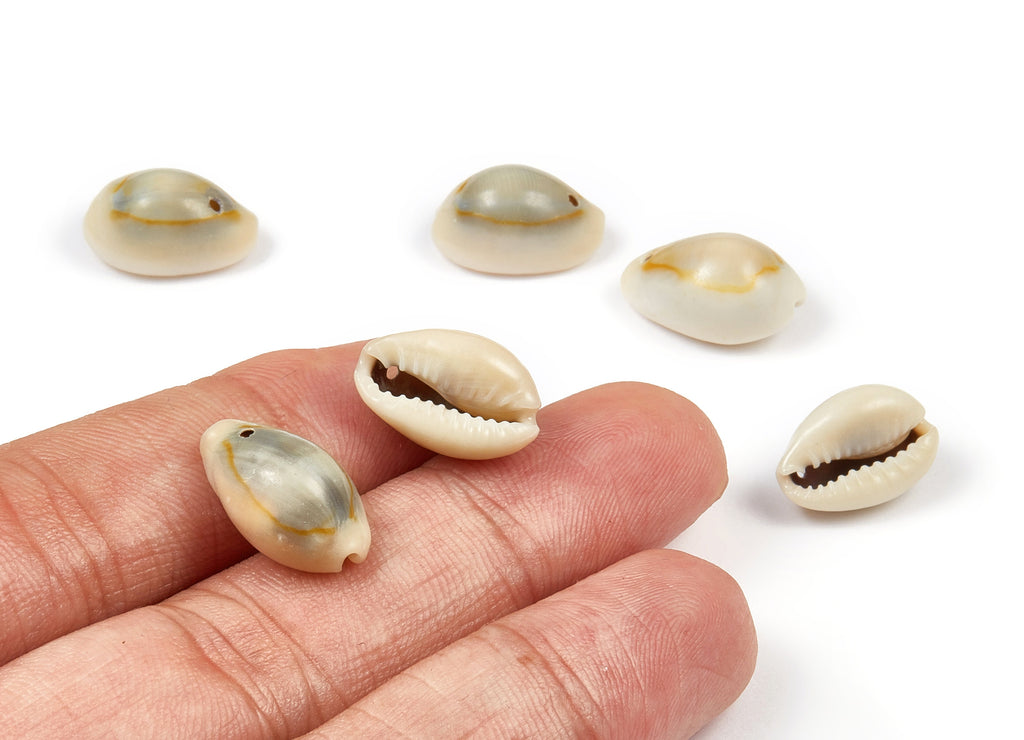 Cowrie Seashell Charms - Mussel Shell Earrings and Pendant - Natural Seashell Earrings - 1 Hole - 18.22x11.18x9.32mm - SF1044 - DOMEDBAZAAR