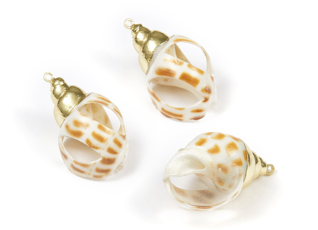 Open Whelk Charms - Whelk Seashell Earrings - Cut Open Seashell Pendant - Natural Seashell Earrings - 1 Hole - 28.92x18.28 - SF1099 - DOMEDBAZAAR