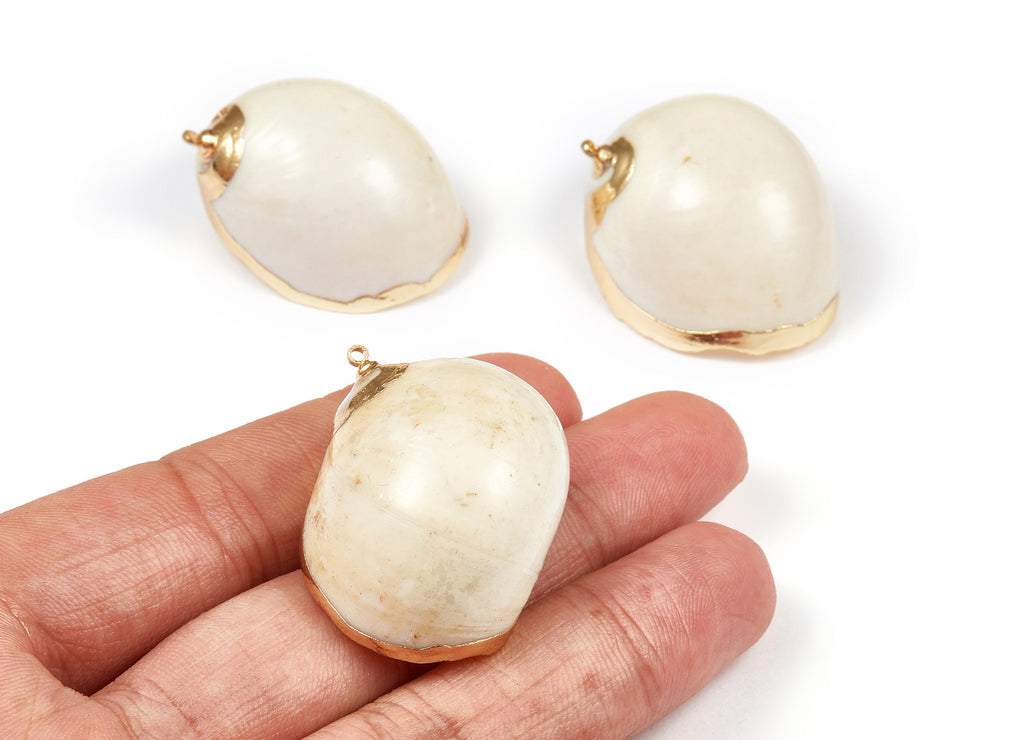 Whelk Seashell Charms - Seashell Earrings and Pendant - Gold Tone Plated Earrings - Natural Seashell - 1 Hole - 37.64x34.69xmm - SF1078 - DOMEDBAZAAR