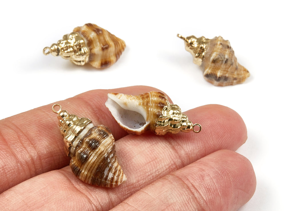 Whelk Seashell Charms - Whelk Shell Pendant - Natural Seashell Earrings - 1 Hole - 23.84x12.18x10.5mm - SF1065 - DOMEDBAZAAR
