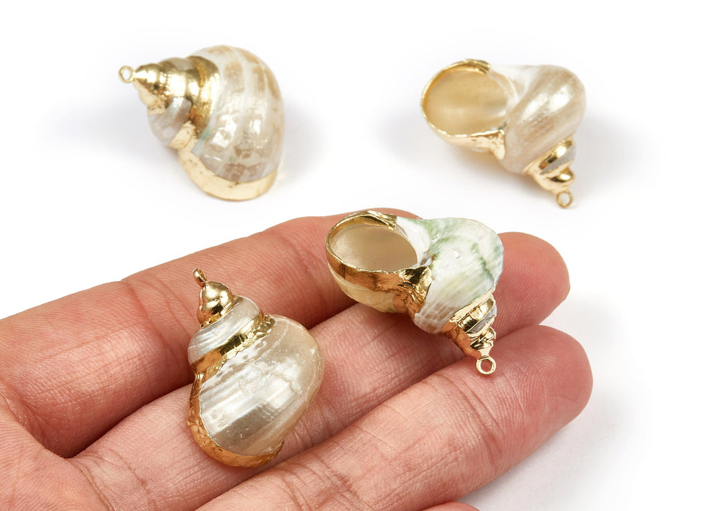 Whelk Seashell Charms - Seashell Earrings and Pendant - Gold Tone Plated Earrings - Natural Seashell - 1 Hole - 29.58x25.67xmm - SF1093 - DOMEDBAZAAR