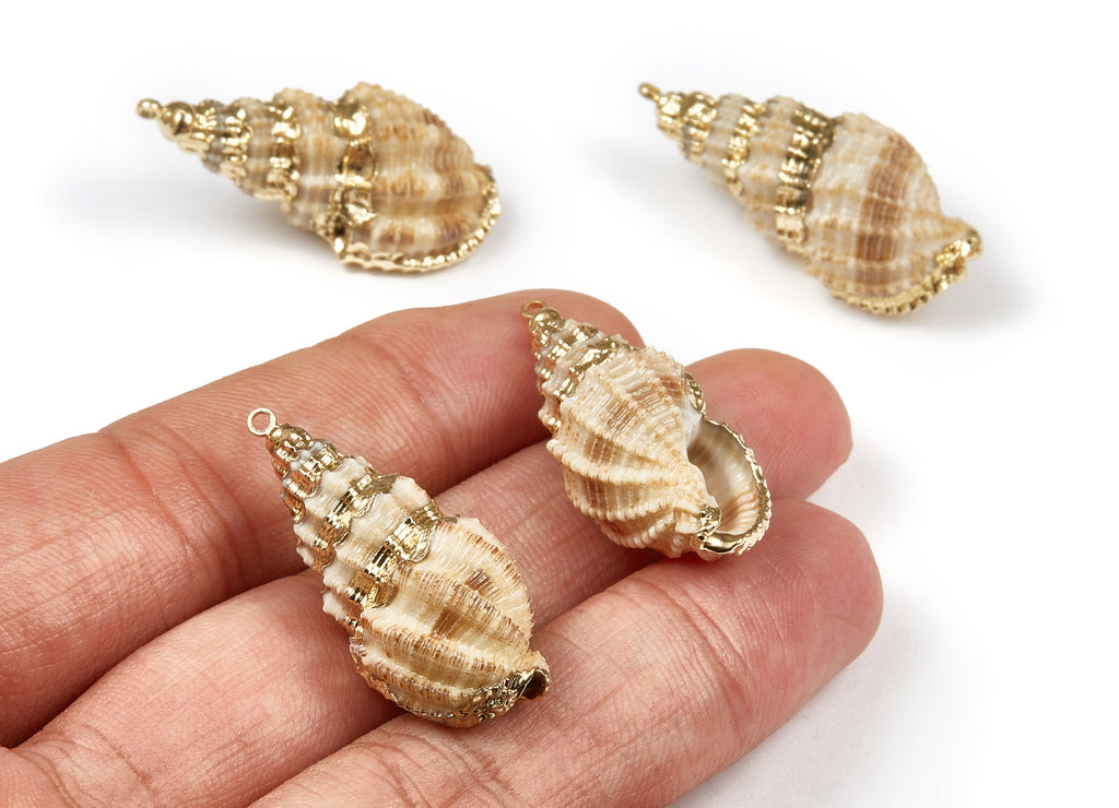Whelk Seashell Charms - Whelk Shell Pendant - Natural Seashell Earrings - 1 Hole - 35.43x14.59x13.1mm - SF1070 - DOMEDBAZAAR