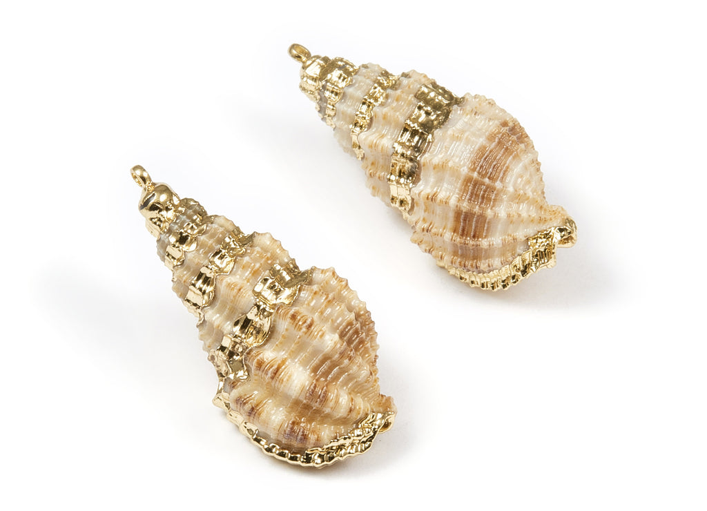 Whelk Seashell Charms - Whelk Shell Pendant - Natural Seashell Earrings - 1 Hole - 35.43x14.59x13.1mm - SF1070 - DOMEDBAZAAR