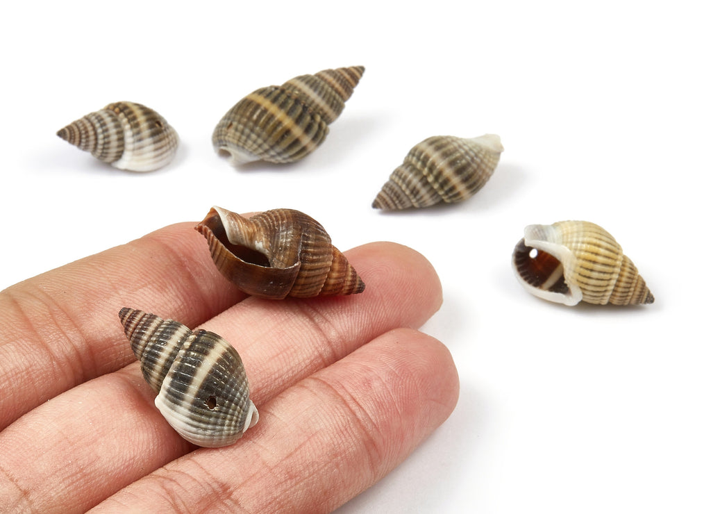 Whelk Seashell Charms - Mussel Shell Pendant - Natural Seashell Earrings - 1 Hole - 20.8x10.2x9.96mm - SF1019 - DOMEDBAZAAR