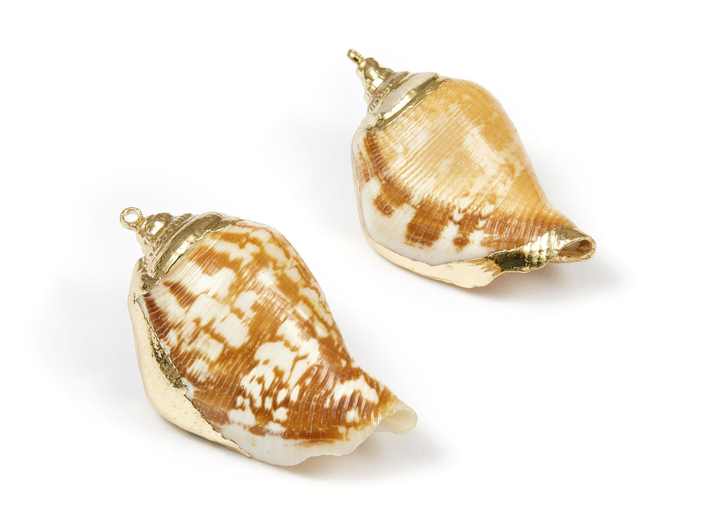 Whelk Seashell Charms - Seashell Earrings and Pendant - Gold Tone Plated Earrings - Natural Seashell - 1 Hole - 39.16x23xmm - SF1094 - DOMEDBAZAAR