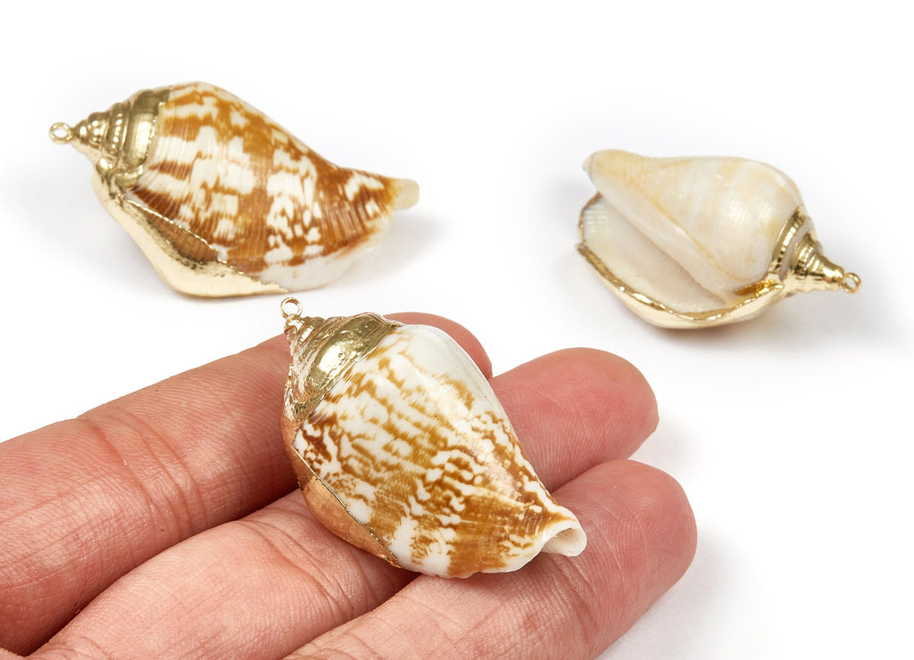 Whelk Seashell Charms - Seashell Earrings and Pendant - Gold Tone Plated Earrings - Natural Seashell - 1 Hole - 39.16x23xmm - SF1094 - DOMEDBAZAAR