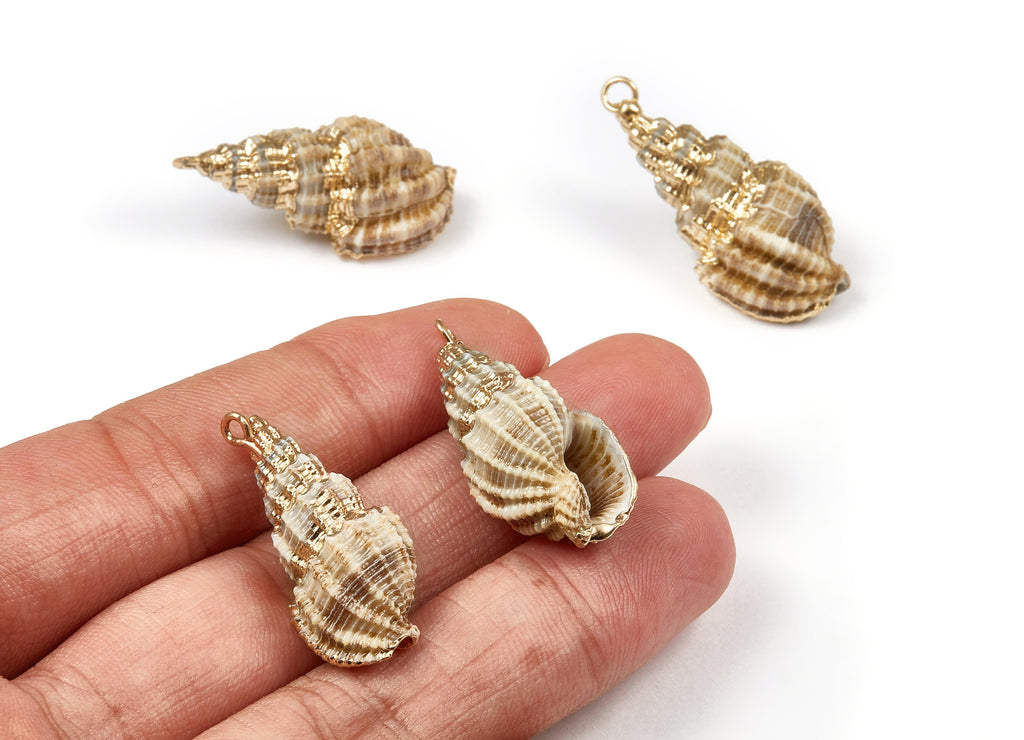 Whelk Seashell Charms - Natural Seashell Earrings and Pendant - Gold Tone Plated Earrings - 1 Hole - 30.38x15.38x12.26mm - SF1043 - DOMEDBAZAAR