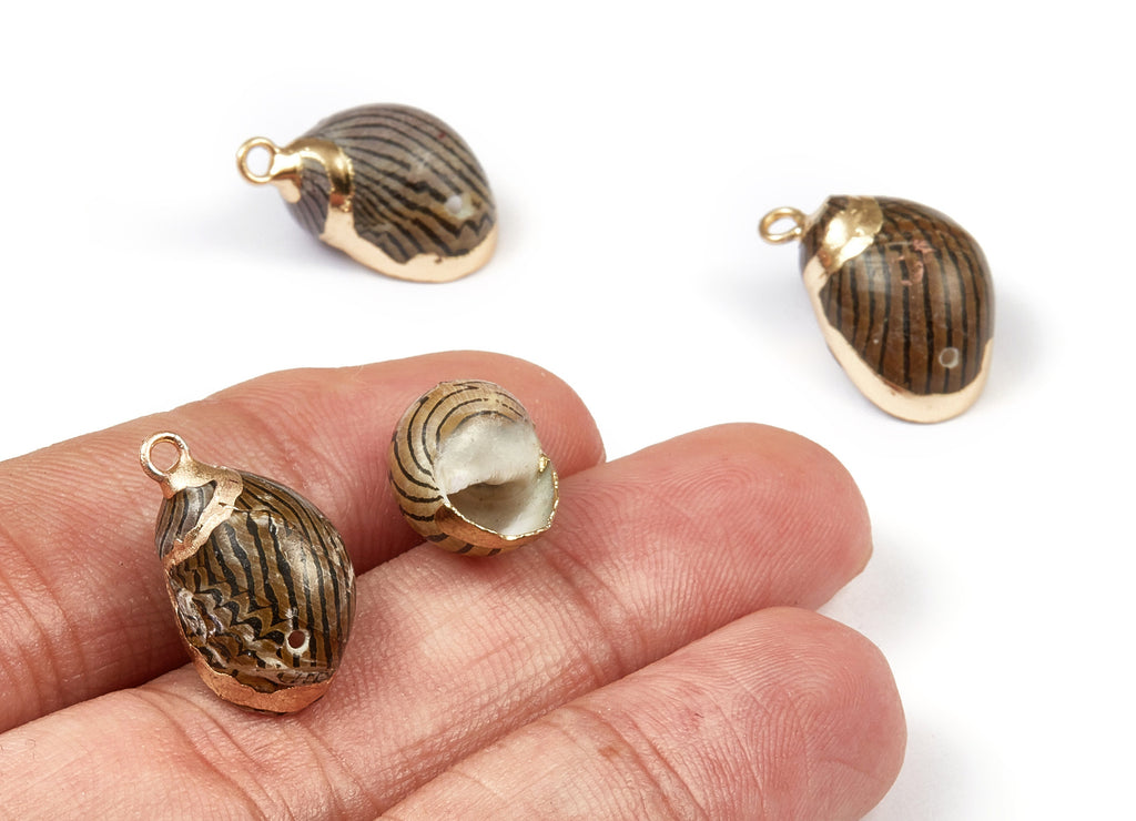 Whelk Seashell Charms - Natural Seashell Earrings and Pendant - Gold Tone Plated Earrings - 2 Hole - 13.43x11.18x9.58mm - SF1029 - DOMEDBAZAAR